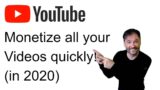 Bulk-monetize YouTube videos quickly