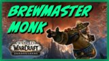 Should you main a Brewmaster Monk in Shadowlands?