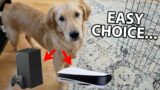 Xbox Series X vs PS5… Which Console is Better?? MY DOG DECIDES!!