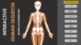 Animated Human Skeleton Model in PowerPoint | Interactive PowerPoint Tutorial