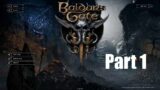 Baldur's Gate 3 Part 1 // Squirtle's Start [EARLY ACCESS]