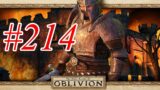 The Elder Scrolls IV Oblivion ITA – #214 Crepa nella roccia!!!