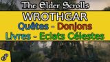 Wrothgar – Partie 8 – Gameplay, Exploration et Levelling – The Elder Scrolls Online | Xbox X