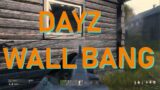 Can you wall bang in Dayz Standalone?  PC, PS4, PS5, XBOX
