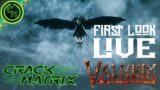 Crack Matrix: Valheim FIRST LOOK LIVE