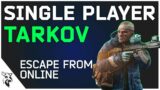 Single Player Escape From Tarkov Exists and it's actually fun! | EUL Gaming