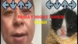 friday night funkin – fresh | angry man and tiny cat | full song