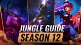 COMPLETE Jungle Beginner's Guide in League of Legends – Season 12