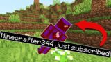Minecraft, But If You Subscribe I Die…