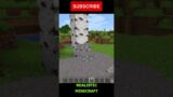 Minecraft Realistic Gravel #shorts #minecraft 2
