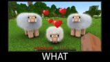 Minecraft wait what meme part 119 realistic minecraft Sheep Breeding