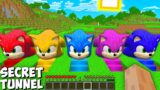 Secret Sonic's Random Tunnel in minecraft – Gameplay challenge and funny