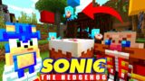 Sonic's ALLAY Birthday Party! [43] | Sonic And Friends | Minecraft