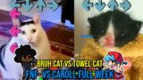 CAROLL FULL WEEK BUT BRUH CAT VS TOWEL Cat – Friday Night Funkin Custom Animation