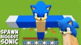 This is a SUPER SECRET WAY TO SPAWN BIGGEST SONIC the HEDGEHOG and FRIENDS in Minecraft TITAN