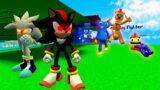 Playing as Shadow Sonic from FNF vs 3D SANIC CLONES MEMES in Garry`s mod