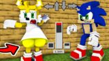 Sonic.EXE and Knux FNF and TailsEXE  in Minecraft – Funny Story FNF Dancing Meme Animation